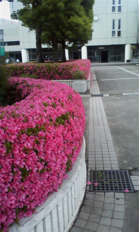 ���N�^�������߂ĘV�Q�^�t��