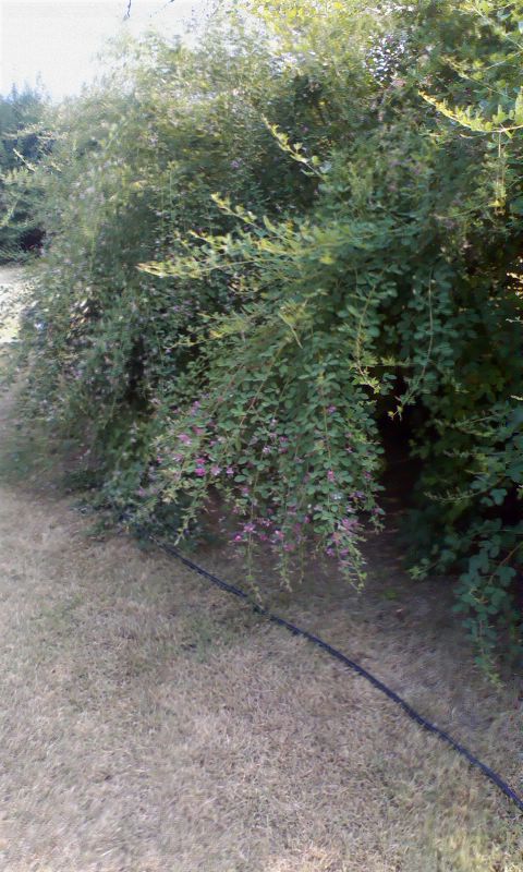 ���N�^�������߂ĘV�Q�^�t��