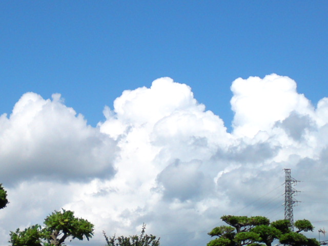 ���N�^�������߂ĘV�Q�^�t��