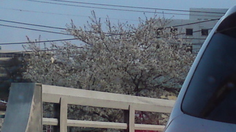 ���N�^�������߂ĘV�Q�^�t��