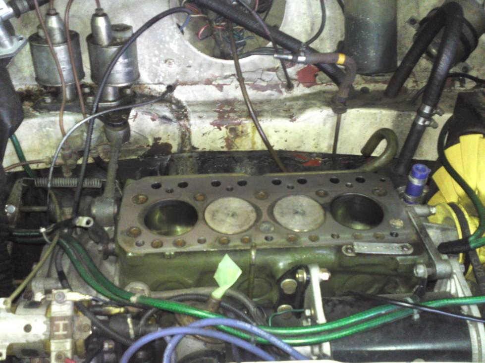 ���N�^�������߂ĘV�Q�^�t��