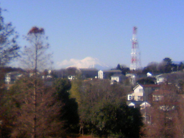 ���N�^�������߂ĘV�Q�^�t��