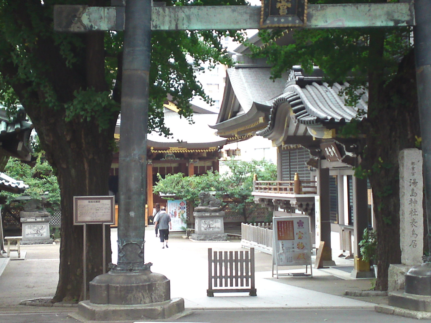 ���N�^�������߂ĘV�Q�^�t��