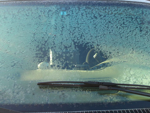 ���N�^�������߂ĘV�Q�^�t��