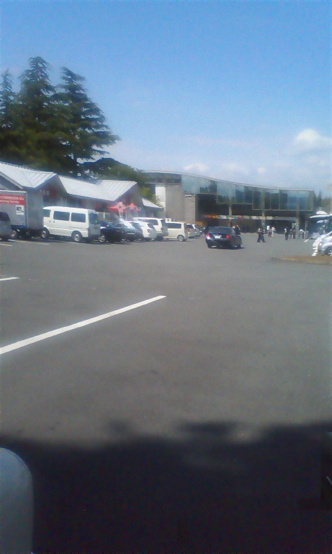 ���N�^�������߂ĘV�Q�^�t��