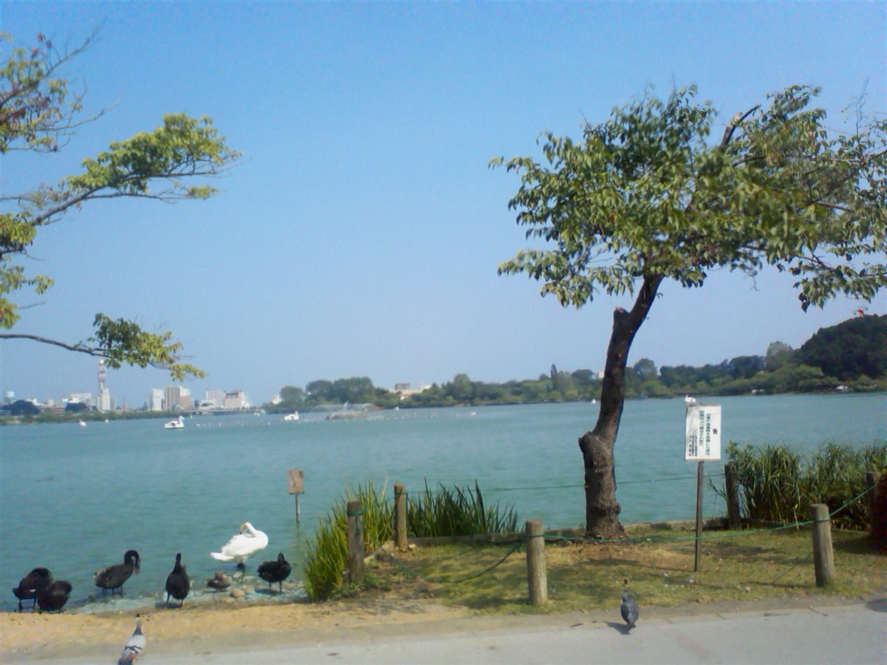 ���N�^�������߂ĘV�Q�^�t��