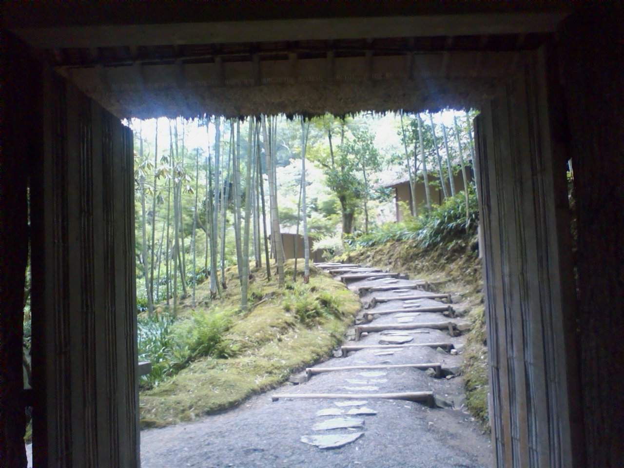 ���N�^�������߂ĘV�Q�^�t��