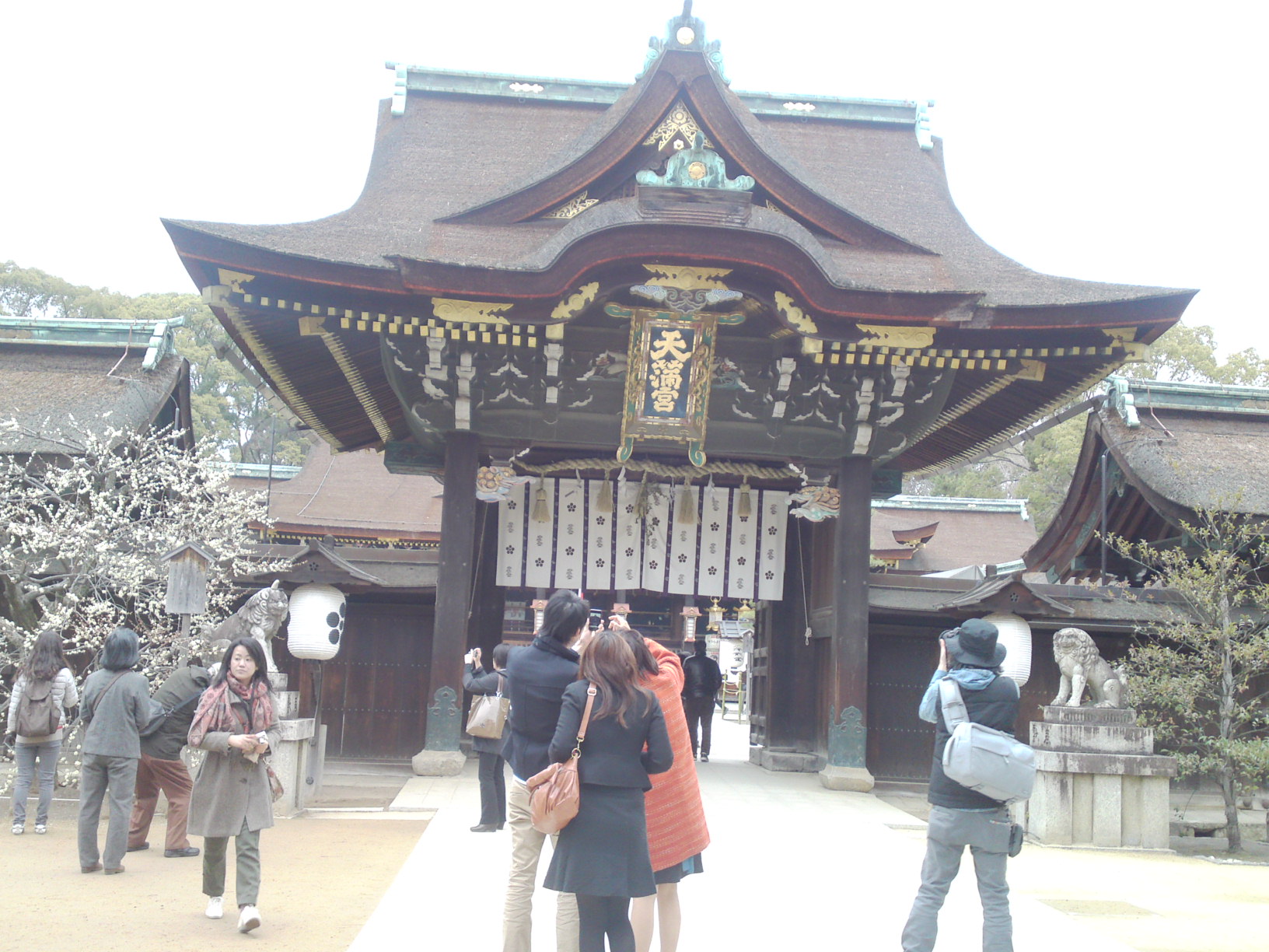 ���N�^�������߂ĘV�Q�^�t��