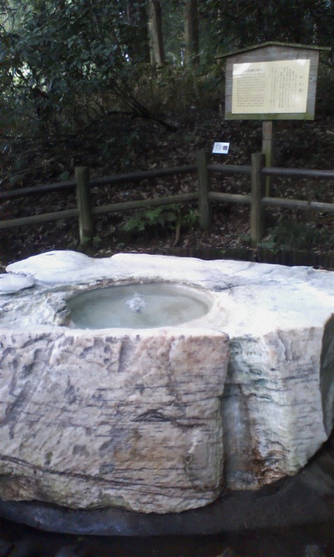 ���N�^�������߂ĘV�Q�^�t��