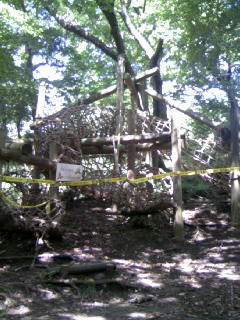 ���N�^�������߂ĘV�Q�^�t��