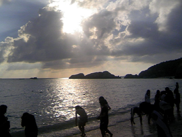 ���N�^�������߂ĘV�Q�^�t��