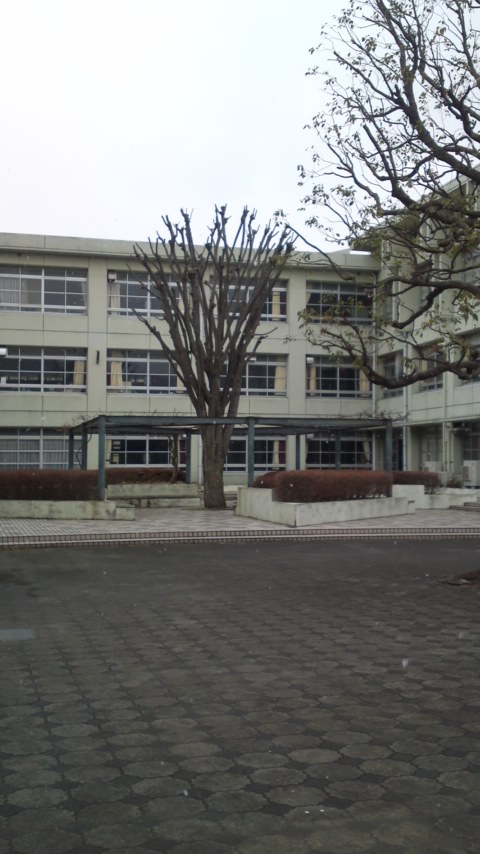 ���N�^�������߂ĘV�Q�^�t��