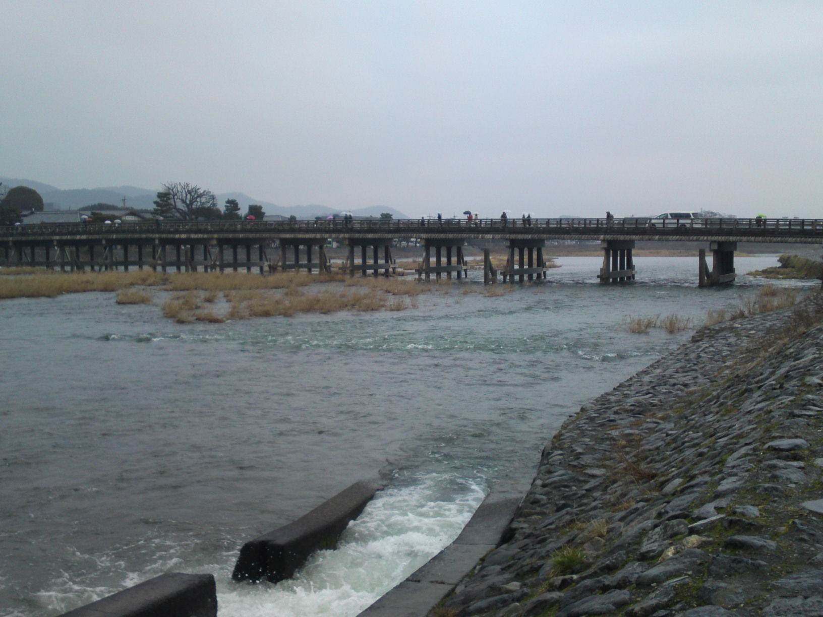 ���N�^�������߂ĘV�Q�^�t��