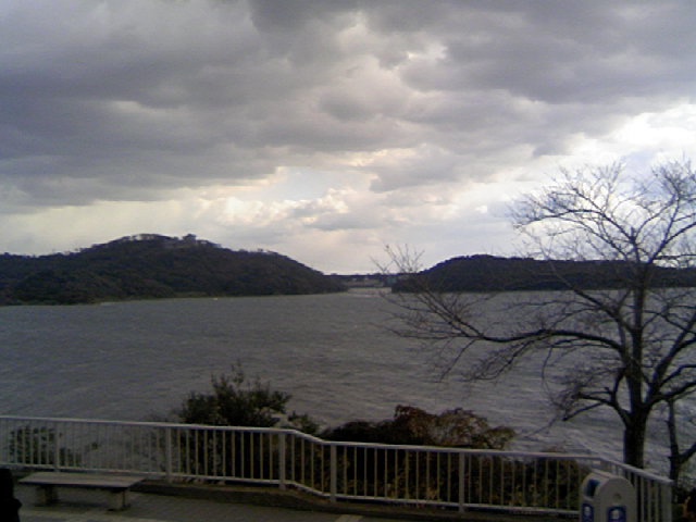 ���N�^�������߂ĘV�Q�^�t��