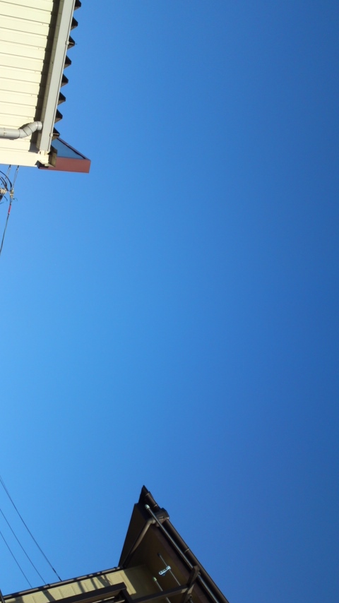 ���N�^�������߂ĘV�Q�^�t��