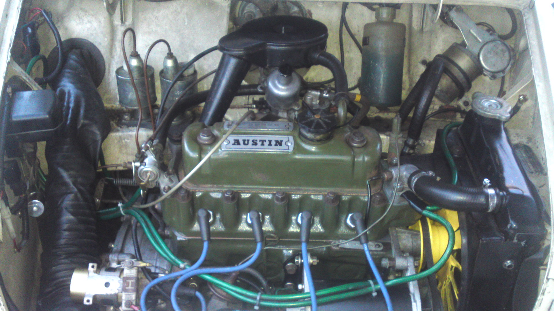 ���N�^�������߂ĘV�Q�^�t��