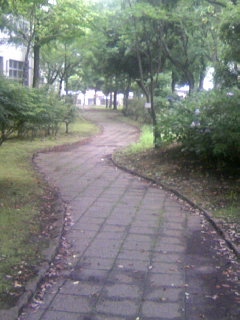 ���N�^�������߂ĘV�Q�^�t��