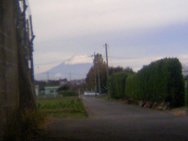 ���N�^�������߂ĘV�Q�^�t��