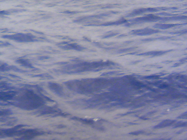 ���N�^�������߂ĘV�Q�^�t��