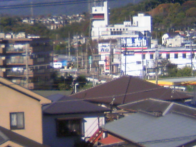 ���N�^�������߂ĘV�Q�^�t��