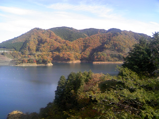 ���N�^�������߂ĘV�Q�^�t��