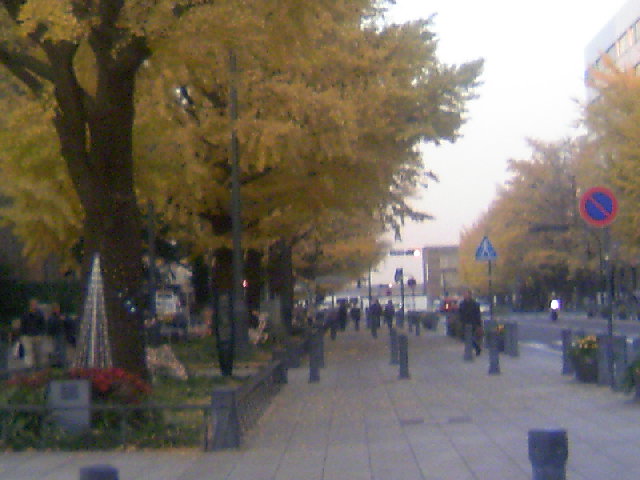 ���N�^�������߂ĘV�Q�^�t��