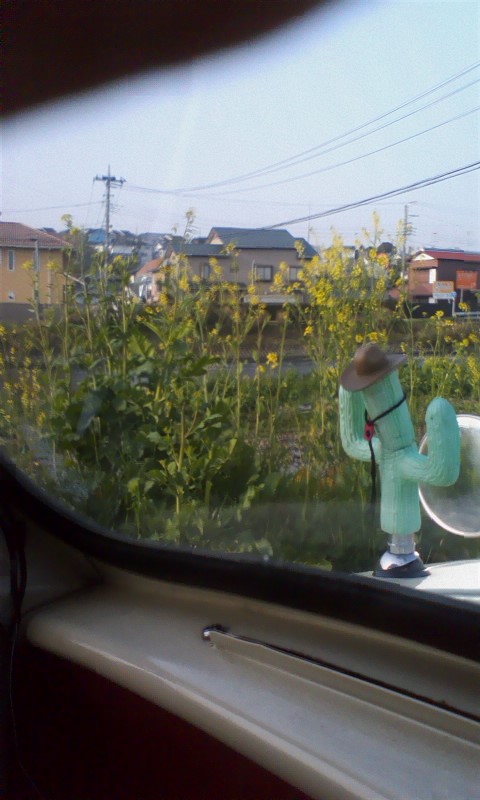 ���N�^�������߂ĘV�Q�^�t��