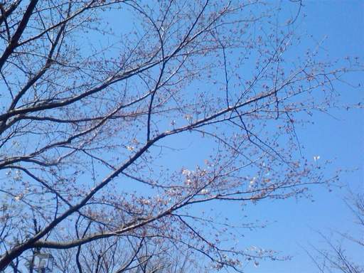 ���N�^�������߂ĘV�Q�^�t��