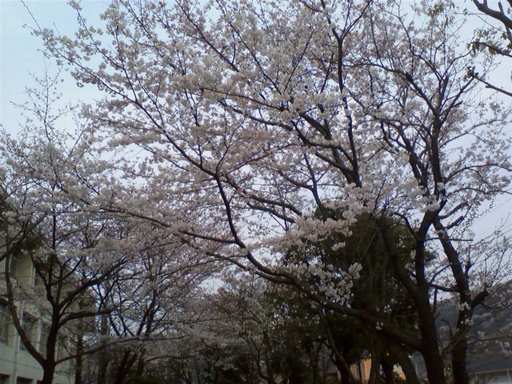 ���N�^�������߂ĘV�Q�^�t��