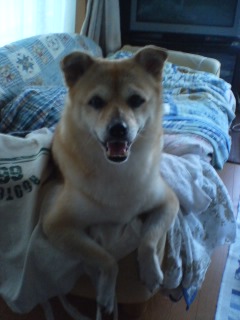 A������R*