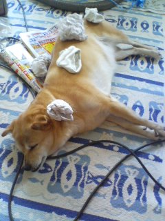 A������R*