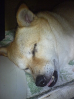 A������R*