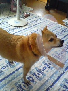 A������R*