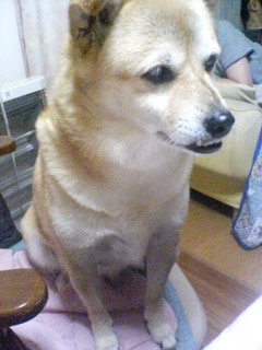 A������R*