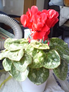 A������R*