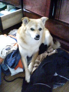 A������R*