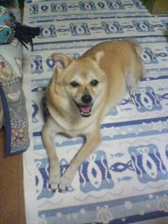 A������R*