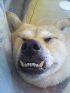 A������R*