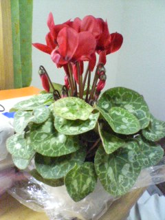 A������R*