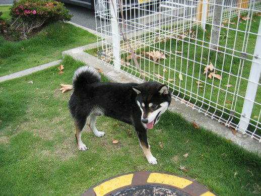 �Q��ځI���ċ⎟�Y�@���Q