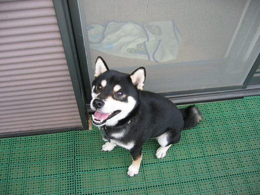 �Q��ځI���ċ⎟�Y�@���Q