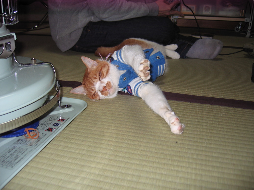 �Q��ځI���ċ⎟�Y�@���Q