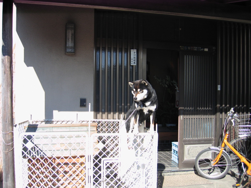 �Q��ځI���ċ⎟�Y�@���Q