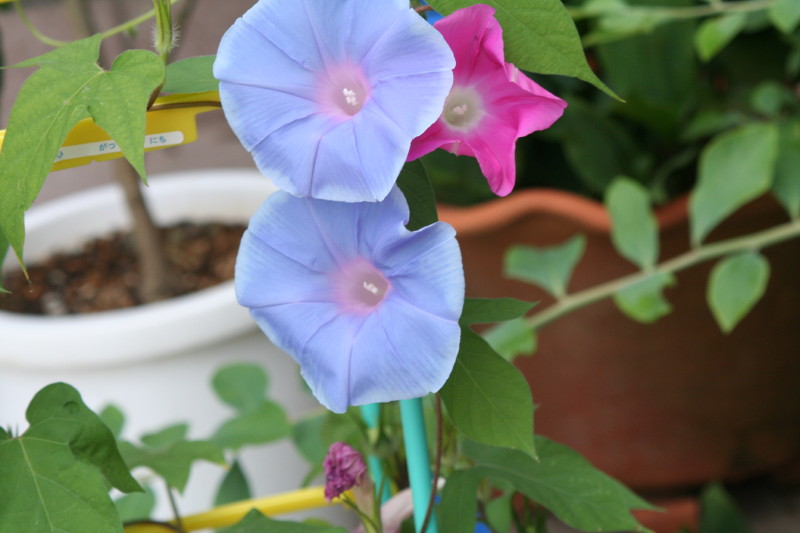 �|�P�������������I