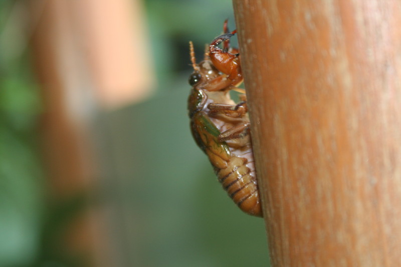 �|�P�������������I