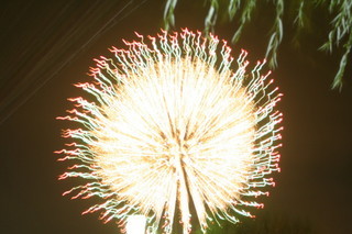 �|�P�������������I