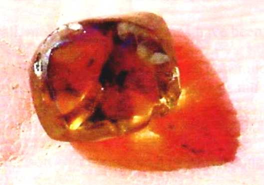 �Ó��Ε����