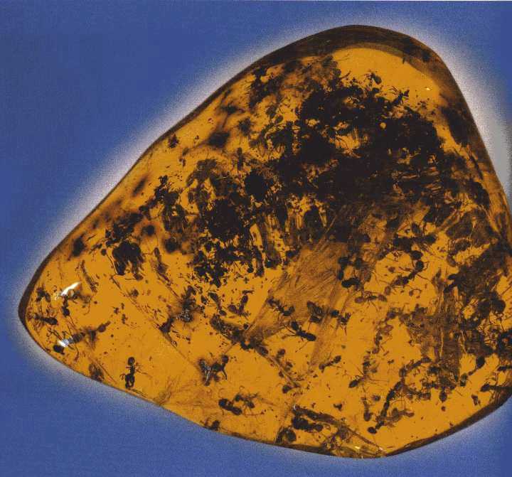 �Ó��Ε����