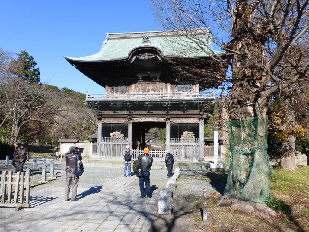 �₶�����U��