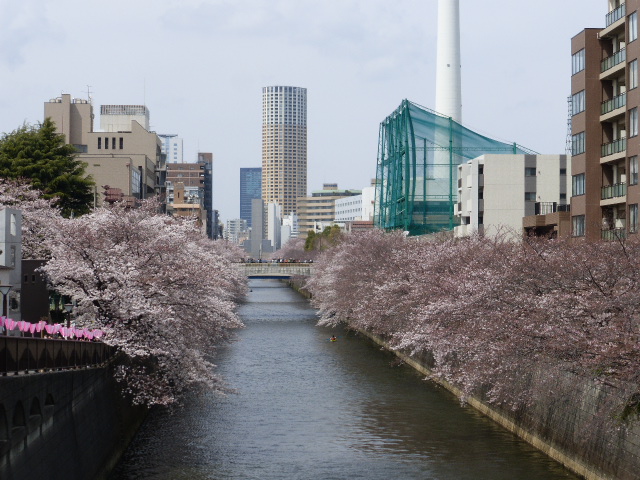 �₶�����U��